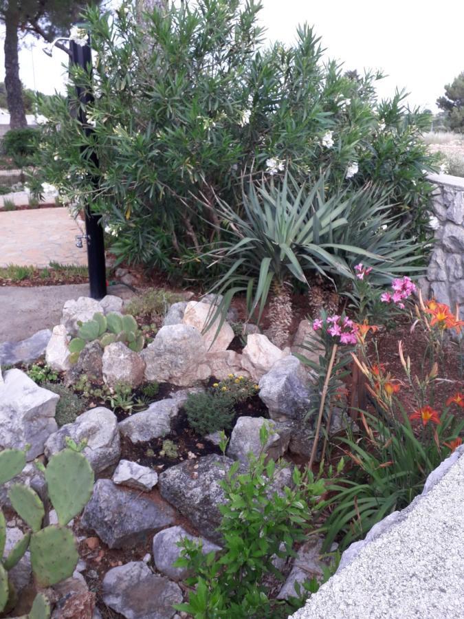 Holiday Home Novalja Exterior foto